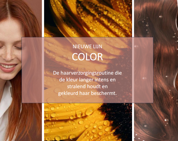 Nieuwe lijn van Phyto: “Color”