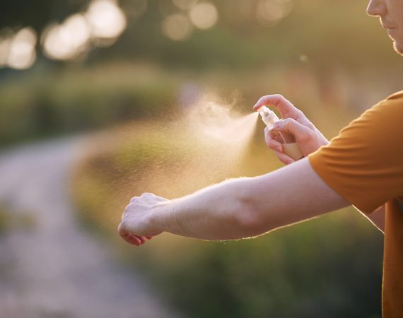 Insectenbeten vermijden: houd ze buiten de deur