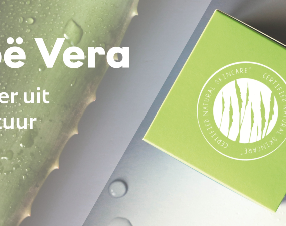 ALOË VERA | WONDER UIT DE NATUUR