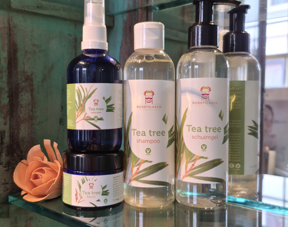 Tea Tree verzorging: een frisse routine voor gezicht, haar en lichaam